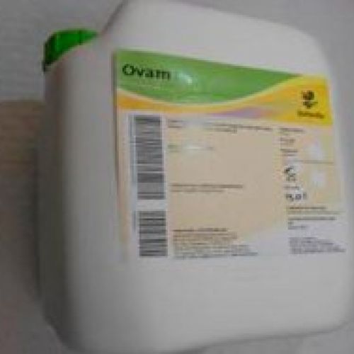 Ovam 25