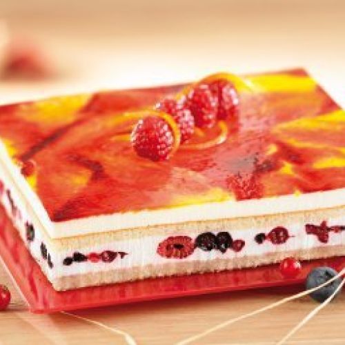 c6d10d9c30facfa7f67762ea4c77ac8e8d5b5f26